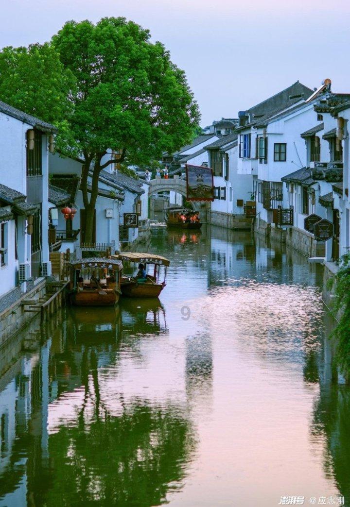 春运开启！哈尔滨火出圈，本地人靠什么顺利回家？